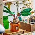 Miniatyrbild 5 av 7: Lego 76433 Harry Potter Mandrake