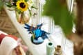 Miniatyrbillede 7 af 8: LEGO ICONS 10331 Kingfisher Bird