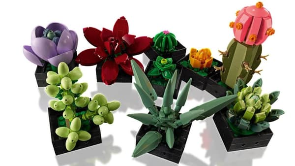 LEGO ICONS 10309 SUCCULENTER