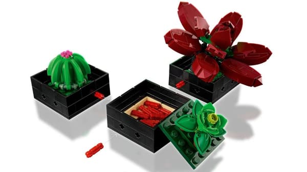 LEGO ICONS 10309 SUCCULENTER
