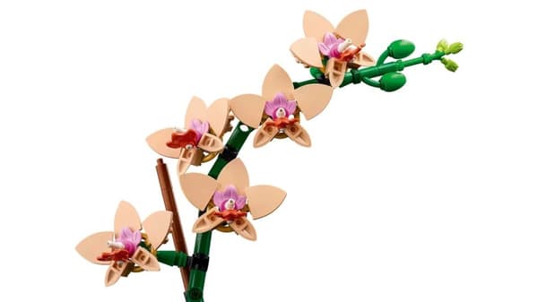 LEGO ICONS 10343 The Botanical Collection - Mini Orchid