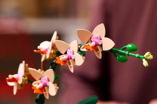LEGO ICONS 10343 The Botanical Collection - Mini Orchid