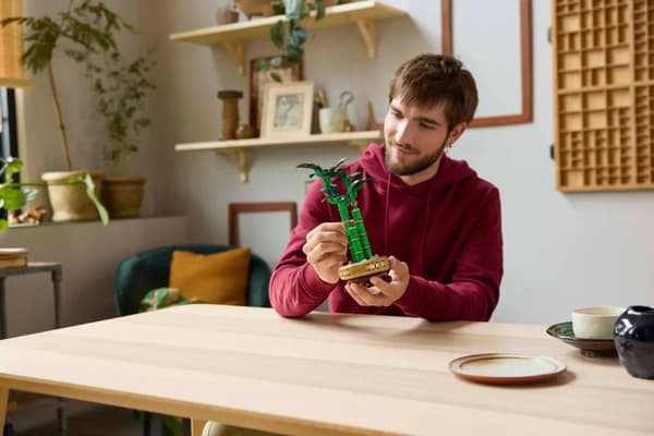 LEGO BOTANICALS 10344 Dracaena sandera