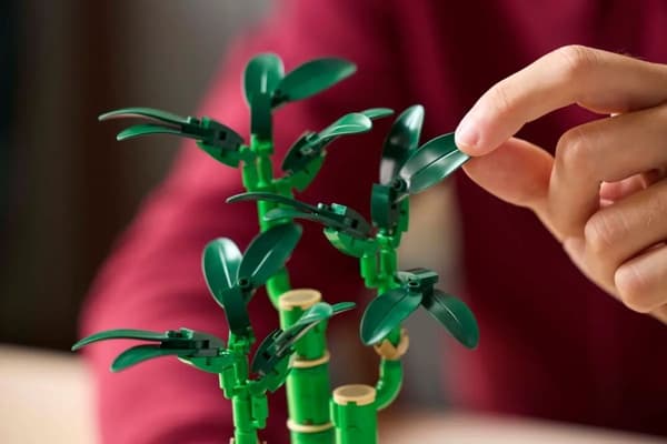 LEGO BOTANICALS 10344 Dracaena sandera