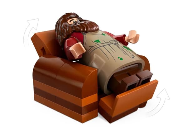 LEGO HARRY POTTER 76428 Hagrids stuga - Ett oväntat besök