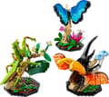 Miniatyrbillede 3 af 7: LEGO Ideas 21342 Insektsamling