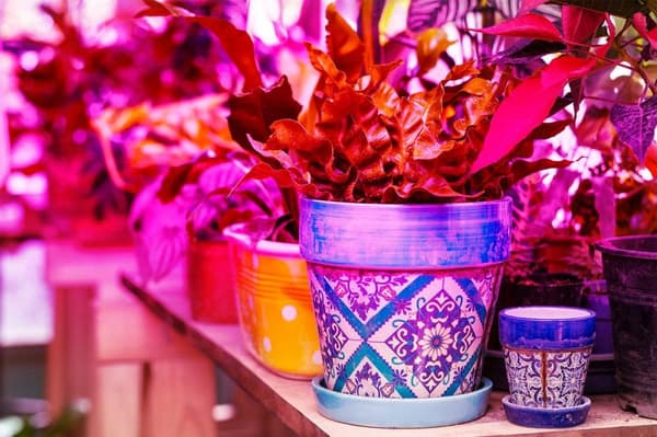 Plantelampe 200 LED / Lampe til Plantebelysning