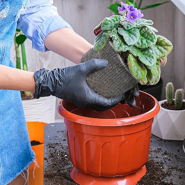 Sæt med 3 rodbeskyttelseskurve i rustfrit stål - Sæt med 3 mosegrisekurve - Plantebeskyttelse - til planter, bær - 35 x 35 cm