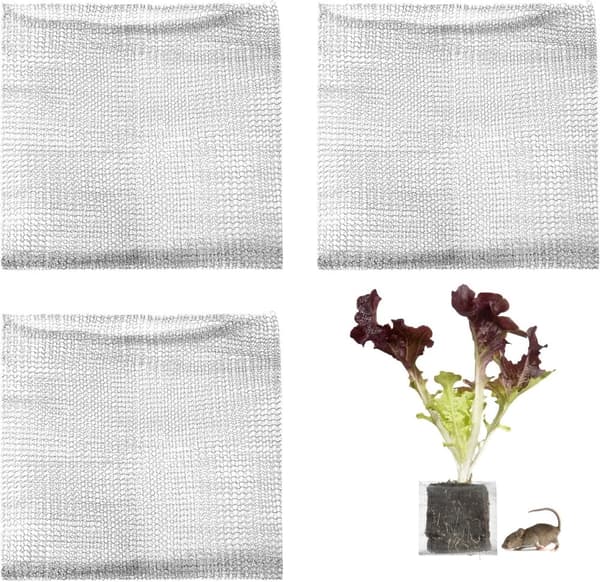 Sæt med 3 rodbeskyttelseskurve i rustfrit stål - Sæt med 3 mosegrisekurve - Plantebeskyttelse - til planter, bær - 35 x 35 cm