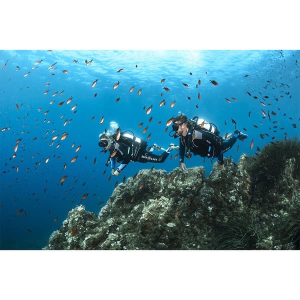 Aqualung Bcd Omni Svart L