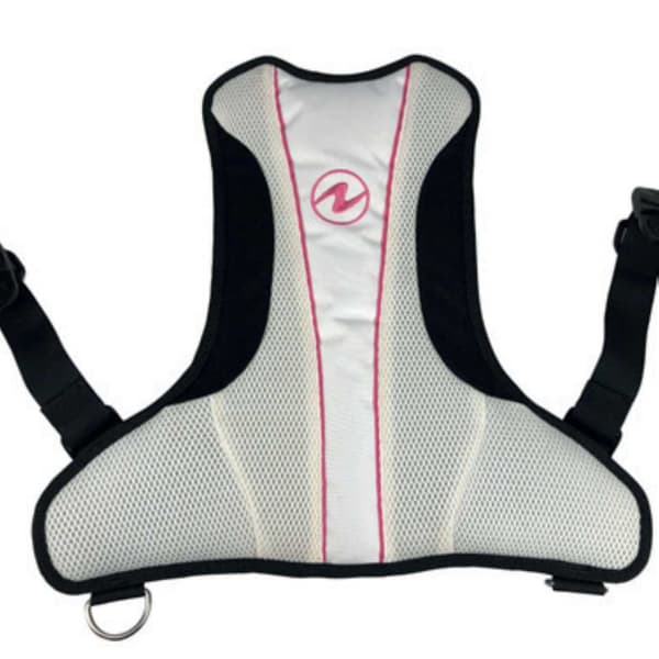 Aqualung Rogue Back Assembly Grå L