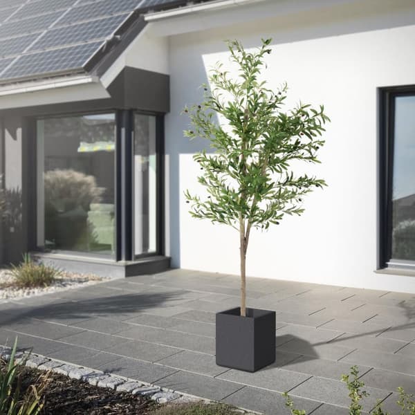 Kunstigt oliventræ 210 cm kunstig plante med stamme af naturligt træ og frugter ML-design
