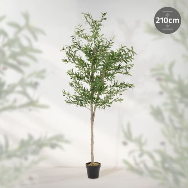 Kunstigt oliventræ 210 cm kunstig plante med stamme af naturligt træ og frugter ML-design