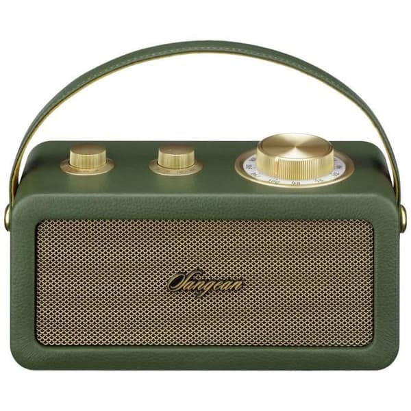 Sangean RA-101 trådlös FM Bluetooth-radio, AUX uppladdningsbar grön, guld