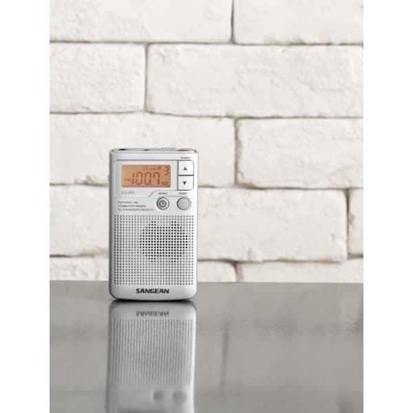 SANGEAN DT-250 Grå Bärbar Radio - AM/FM Digital Radio Tuner