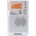 Miniatyrbild 1 av 5: SANGEAN DT-250 Grå Bärbar Radio - AM/FM Digital Radio Tuner