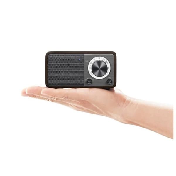 Bärbar radio - SANGEAN - ÄKTA MINI (WR-7) - Bluetooth - FM - Röd körsbärsträdsfodral