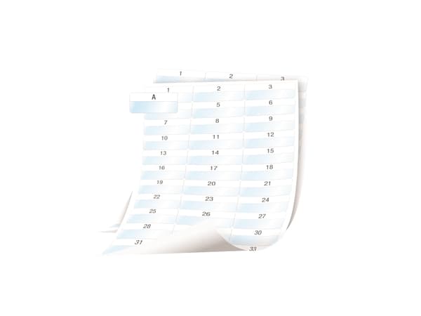 DYMO XTL Laminoitu - Polyesteri - pysyvä kalvopaperi - läpinäkyvä - 54 x 23 mm 1008 etikette(r) (28 ark x 36) etikettejä