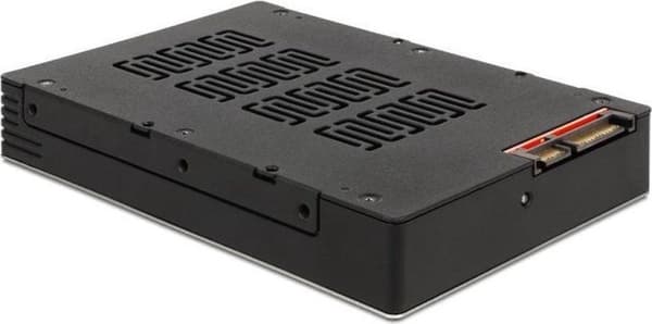 DeLOCK 47224 hölje för lagringsenheter 2,5'' Svart