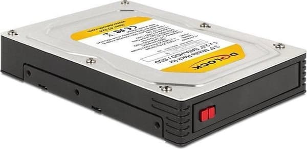 DeLOCK 47224 hus til lagerdrev 2,5'' Sort Sort