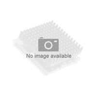 Intel Xeon E5-2640 - 2,5 GHz - 6 kärnor - 12 trådar...- USED
