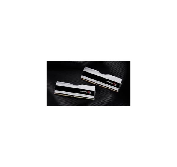 RAM, F5-7600J3848F24GX2-TZ5RW, G.SKILL