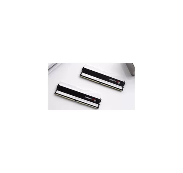 RAM, F5-7600J3848F24GX2-TZ5RW, G.SKILL
