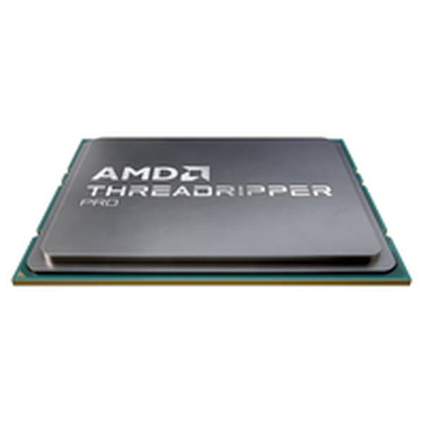 Prosessor AMD 100-100000454WOF