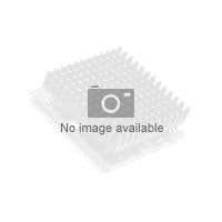 Processor - Intel - Xeon E5-2630L - 2 GHz - 6 kärnor - 15 MB cache