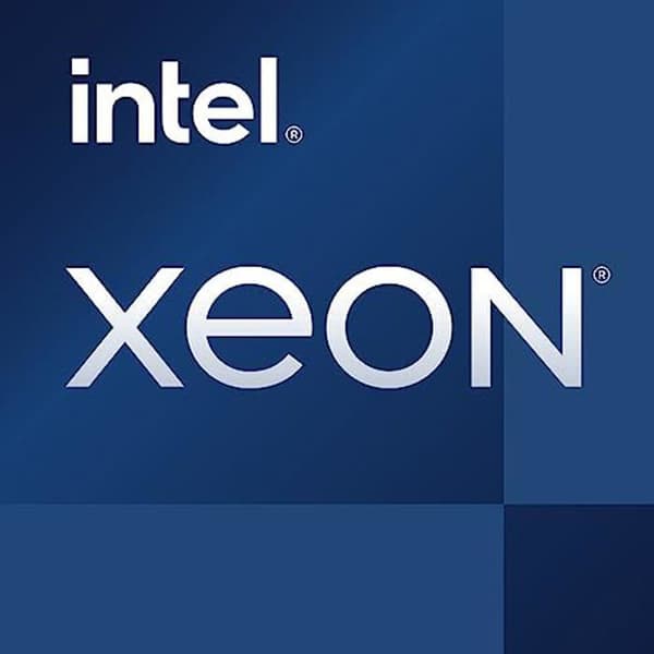 Intel Xeon E-2386G- processor - LGA1200 - 3,5 GHz - 12 kärnor - 12 MB cache