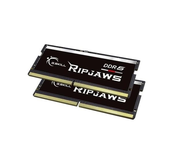 G.Skill, Ripjaws