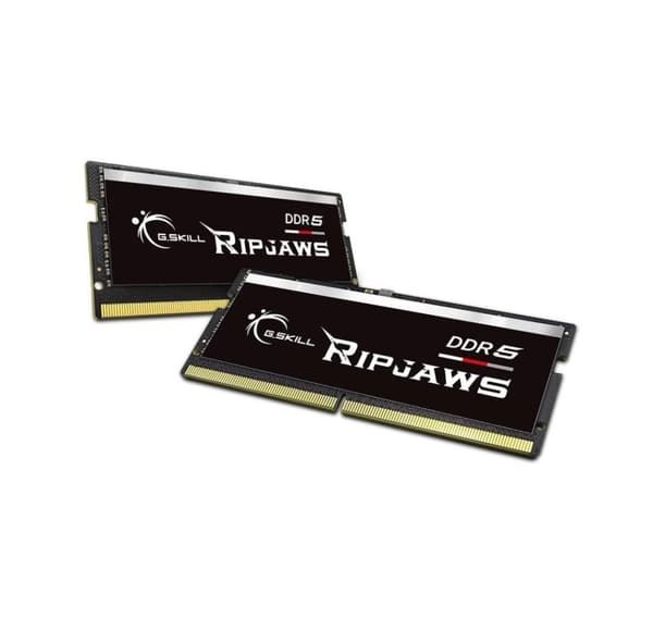 G.Skill, Ripjaws