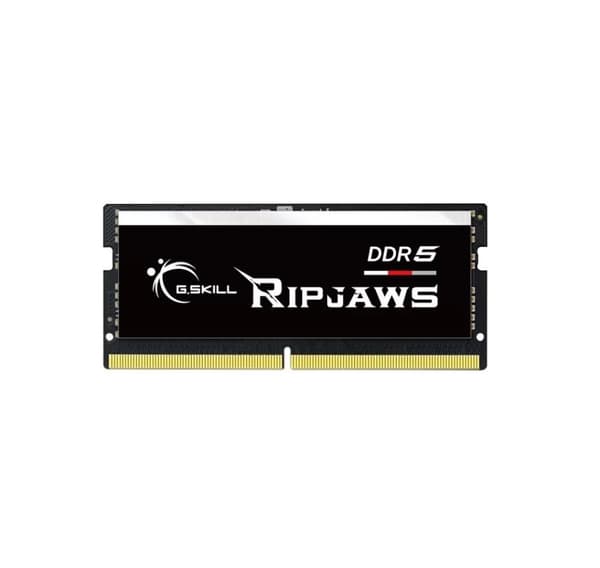 G.Skill, Ripjaws