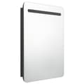 Miniatyrbilde 3 av 9: vidaXL LED-speilskap til bad blank svart 60x11x80 cm