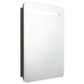 Miniatyrbilde 1 av 9: vidaXL LED-speilskap til bad blank svart 60x11x80 cm