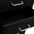 Miniatyrbillede 7 af 9: vidaXL mobilt arkivskab 28x41x109 cm metal sort