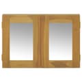 Miniatyrbild 2 av 9: vidaXL Spegelskåp 60x10x40 cm massiv teak
