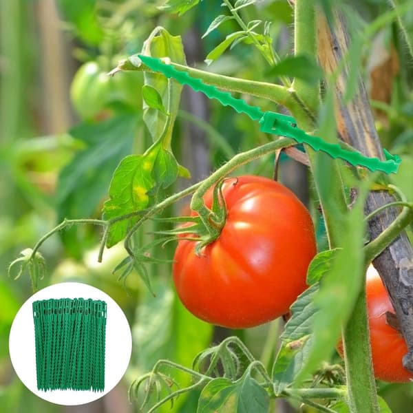 200 Pack Gardening Fishbone Design Bundle Solmio kiipeilykasveille Ruohon väri