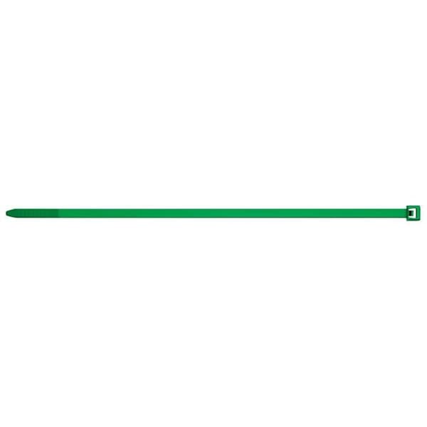 Fischer - 543924 - BN/UBN GBN Buntband Grön 2,5 x 100 cm