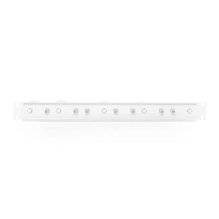 DIGITUS Professional DN-97601-2 - rack cable management panel - 1U - 19"