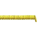 Miniatyrbild 2 av 2: LAPP 73220144 Spiralkabel ÖLFLEX® SPIRAL 540 P 600 mm / 2000 mm 2 x 1.50 mm² Gul 1 st