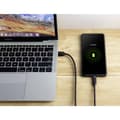 Miniatyrbild 4 av 4: Renkforce USB-kabel USB 2.0 USB-A kontakt, USB-C®-kontakt 1.80 m Svart Tillämplig kontakt på båda sidor RF-4547682