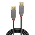 Miniatyrbild 2 av 4: LINDY USB-kabel USB 3.2 Gen1 (USB 3.0) USB-A kontakt, USB-A uttag 1.00 m Svart 36761