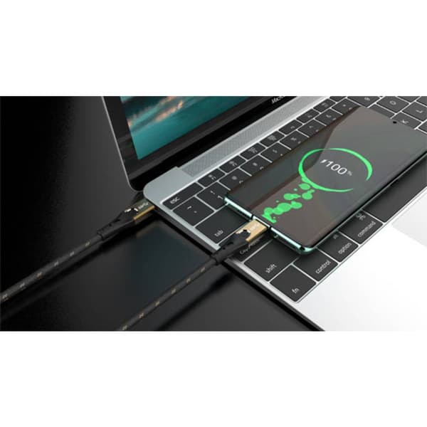 Oehlbach USB-kabel USB 3.2 Gen2 (USB 3.1 Gen2) USB-C®-kontakt, USB-C®-kontakt 3.00 m Svart/Guld D1C9533