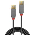Miniatyrbild 4 av 5: LINDY USB-kabel USB 3.2 Gen1 (USB 3.0) USB-A kontakt, USB-A kontakt 3.00 m Svart, Grå 36753