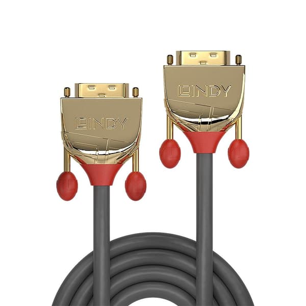 Lindy Gold - DVI-kabel - Dual Link - DVI-D (M) til DVI-D (M) - 50 cm - Fingerskruer - Grå (36200)