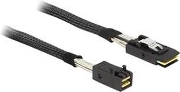 DeLOCK Mini-SAS HD SFF-8643 > Mini-SAS SFF-8087 - 0,50 meter