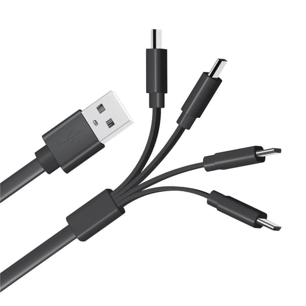 LiiBattaries USB-C 4in1 dedikerad till LITHIUM-ION BATTERIER 19cm Snabb
