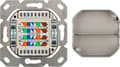 Miniatyrbilde 6 av 7: CAT 6 universell veggplate inkl. på veggmonteringsramme