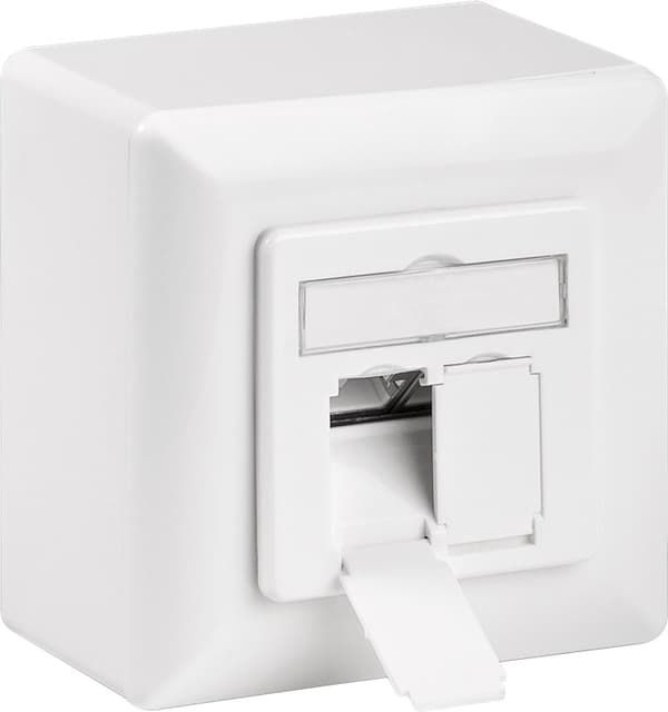 CAT 6a universaali seinälevy sis. seinään kiinnitettävä kehys